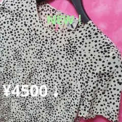 ‼️98点42号【限定♥】クリツィア　シルクカットソー　ベージュ黒　¥4500↓