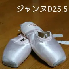 アビニヨン トウシューズD25.5