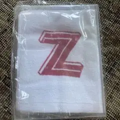 サ道 蒸しZ タオル 新品未使用