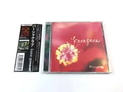 パーシャクラブ / Kana Gana　帯付　Parsha cluB　新良幸人