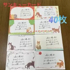 ［A5］サンキューカード　手書き　40枚　猫カード
