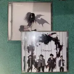2枚セット [Alexandros]/【Champagne】