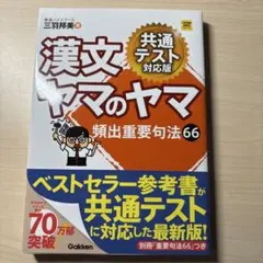 漢文ヤマのヤマ 共通テスト対応版