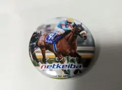 netkeiba ネット競馬 アーモンドアイ 缶バッジ