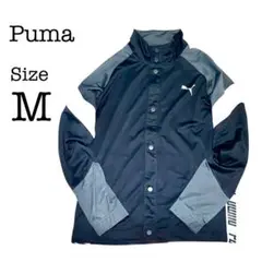 Item thumbnail for item 8871f814-1dc7-4cf2-aa68-7f83f599325c