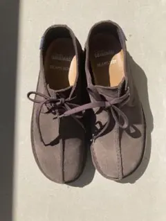 Item thumbnail for item d58a0330-52e9-436c-bf0e-d8da63b94e1d