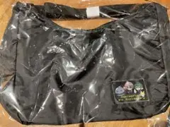 Item thumbnail for item 0153a77b-47cc-4f95-9bcd-e3d5bb4228ab