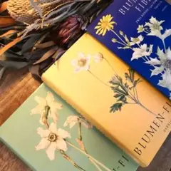 洋書古書 Blumen Fibel 2冊セット