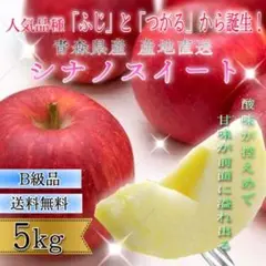 青森県産 シナノスイート りんご 家庭用 5kg 農家直送 リンゴ サンふじ
