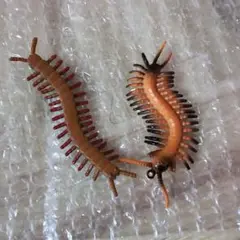 虫セット　オブジェ