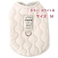 Item thumbnail for item 5af46a85-8f84-41fc-a67f-34ed4f7721a7