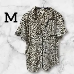 Item thumbnail for item dcdcd5e4-613f-4bd1-8f0e-0e79ae067f53