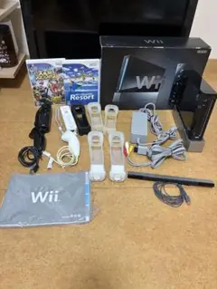 Nintendo Wii 本体 + ゲームソフト2本　動作確認済