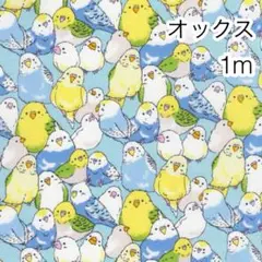 1m インコ サックス オックス