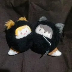くるみたぴぬい 宮侑 宮治