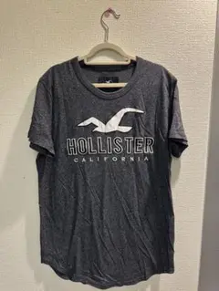 ホリスター HOLLISTER Tシャツ　メンズ　Sサイズ
