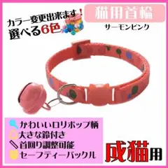 Item thumbnail for item edc75a5b-fb24-46ac-8eb4-11e143899405