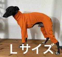 Ｌサイズスムースニットボディオール