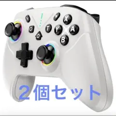 新品 未使用 Switch2 コントローラー ダブルホールスティック プロコン