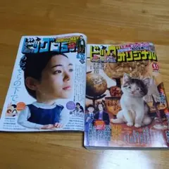 最新号　ビッグコミック　オリジナル　2025 9月 2冊セット