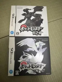 ニンテンドーDS ポケットモンスター ブラック・ホワイト セット