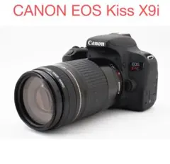 Item thumbnail for item 353fa4af-9e51-4df9-8dfc-c98d5930f8c4