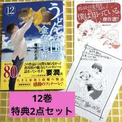 うどんの国の金色毛鞠 12巻　特典2点付き