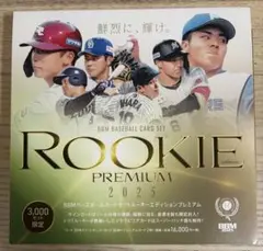 Item thumbnail for item 79dae641-825f-4534-b3f2-b8a1bf66c4e9