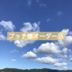 【新品未使用タオル】⑤ねこ柄　ループ付き雑巾2枚組