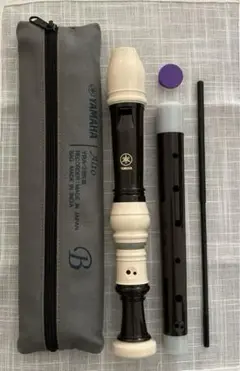 Item thumbnail for item 68a6f5a1-7181-473d-a26d-4a8d7f765950