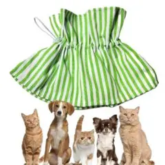 Item thumbnail for item 81ea948d-46bd-4d93-8596-3dccbe30d375