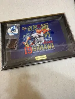 ヤクルトスワローズ　石川雅規　メタルピクチャープレート