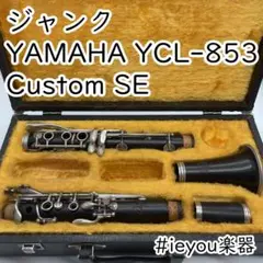 2025年最新】YCL-853の人気アイテム - メルカリ