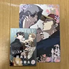 カメレオンはてのひらに恋をする　ビジュアルボード　スペシャルブック