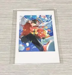 CR crazyraccoon 誕生日 チェキ だるまいずごっど