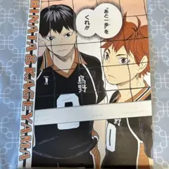 ハイキュー!! 名場面ポスターⅡ 4 日向＆影山