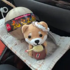 旅するマメしば　花火　長岡
