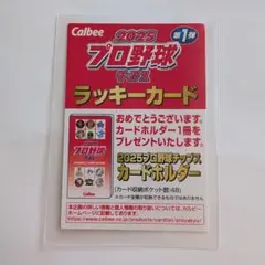 2025 プロ野球チップス 第1弾 ラッキーカード