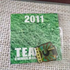千葉ロッテマリーンズ　2011 TEAM26 　ピンバッジ