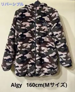 Item thumbnail for item c1b2da77-cbcd-4863-84b3-858440f76c72