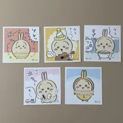ちいかわ シールコレクション3 うさぎ 5枚 セット
