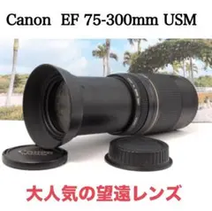 Item thumbnail for item 06fe1469-141f-4dea-b3f4-bc31b381b0a6
