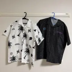 Item thumbnail for item 881c59ab-5157-4ab0-a1b5-58ce0c0eed88