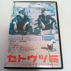 セトウツミ　池松壮亮　菅田将暉　中条あやみ　レンタル落ち　ＤＶＤ