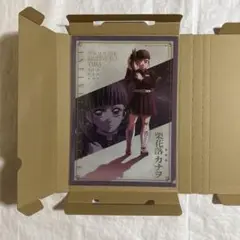 鬼滅の刃 無限城編 描き下ろしイラスト A4 クリアファイル 栗花落カナヲ A