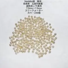 Item thumbnail for item ed589c66-12c7-4a5f-ad05-3d37ef0c24b7