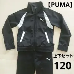 【PUMA】プーマジャージ上下 120 黒／セットアップ スポーツウエア