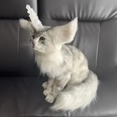 作家　ぬいぐるみ　アートドール　幻獣　猫　ネコ