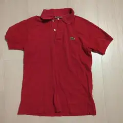 LACOSTE 赤 ポロシャツ サイズ3