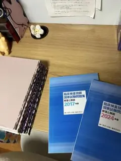 Item thumbnail for item 091d169b-b1fc-454b-94fc-628f5cdf86ea